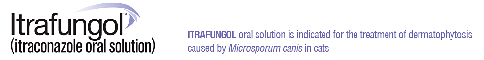 ITRAFUNGOL itraconazole Oral Solution For Cats